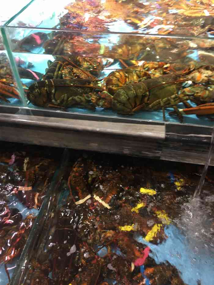 东港渔村海鲜大酒店-"[糖果][糖果]公司年会选择在东港渔村,.