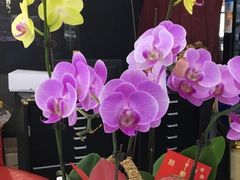 -横岗眼镜城