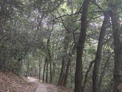 -西湖风景区十里琅珰-五云山