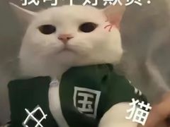 -京樽回転寿司(奥林匹克店)