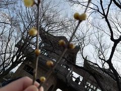 -莫干山风景区
