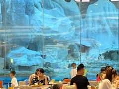 -帝企鹅自助餐厅•儿童岛•真企鹅(长隆企鹅酒店)