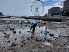-琴岛之星摩天轮