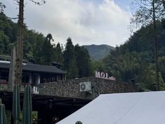 -MOJ coffee(瓯海泽雅水碓坑店)