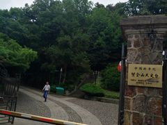 -紫金山天文台