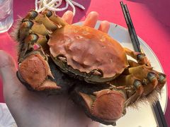 -品鲜村农家菜·阳澄湖大闸蟹(总店)