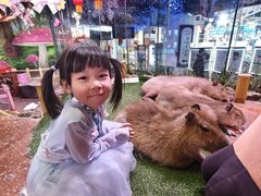 -正佳雨林生态植物园