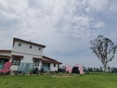 -空港花田景区