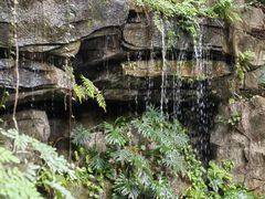-燕晗山郊野公园