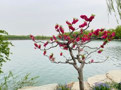 -颐和园