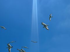 -海驴岛(荣成市)