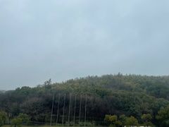 -上海佘山茂御臻品之选酒店(原佘山艾美酒店)