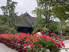 -古大圣慈寺