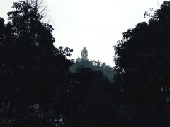 -南山植物园