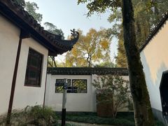 -上海醉白池公园
