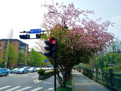-浙江大学(玉泉校区)