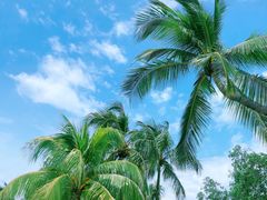 -巴拉湾海滩