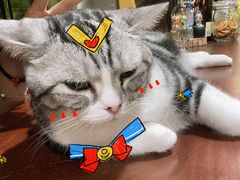 -咖法森林·咖啡  酒吧(天河店)