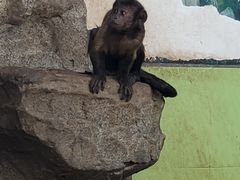 -石家庄市动物园