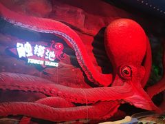 -青岛嘉年华主题乐园