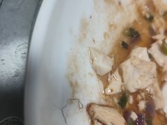 -石岐乳鸽村(桥观坊南四巷店)