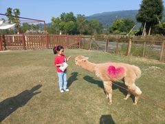 -杭州开元森泊度假乐园