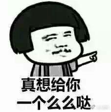 -维也纳国际酒店·深圳北站店