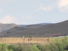 -江心岛