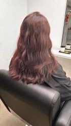 -蚂蚁造型俱乐部