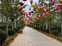 -南宫五洲植物乐园