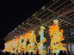 -武汉园博园(武汉自然博物馆)