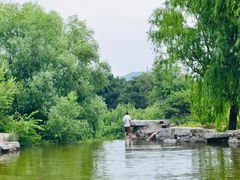-北京西山国家森林公园