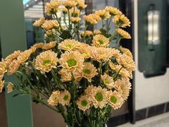 -南堂馆·新川菜(春熙路店)