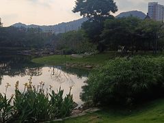 -四海公园(南山区)