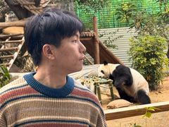 -灵玲国际马戏城
