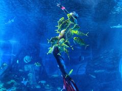 -太平洋海底世界