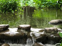 -陈家山荷花公园