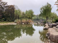 -新虹桥中心花园