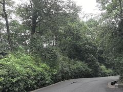 -中国大熊猫保护研究中心雅安碧峰峡基地