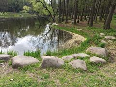 -共青国家森林公园-售票处