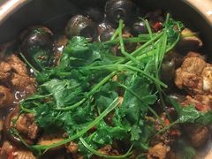-食爺炭炉鸡煲·烧烤