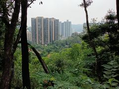 -梧桐山风景名胜区