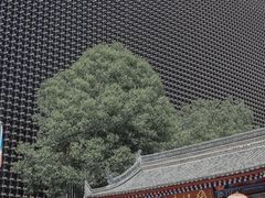 -罔极寺