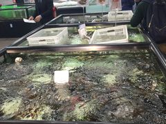 -盒马渔市餐厅