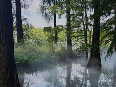 -东湖落雁景区