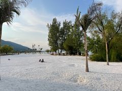 -西昌邛海湿地