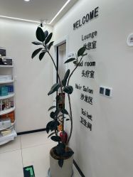 -东方骏美发美容沙龙