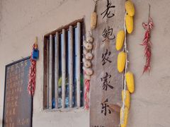 -老鲍农家乐