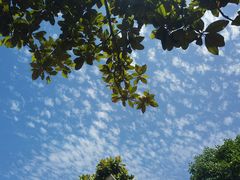 -星巴克(上海虹桥站2A检票口)