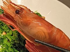 -醉庐·新上海菜(南京西路店)